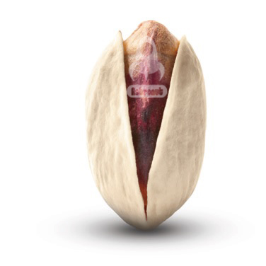 Ahmad Aghaei Pistachio Astronut