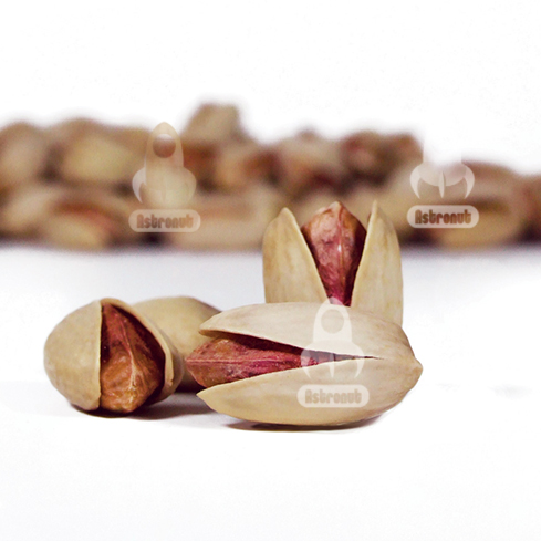 Ahmad Aghaei Pistachio Astronut