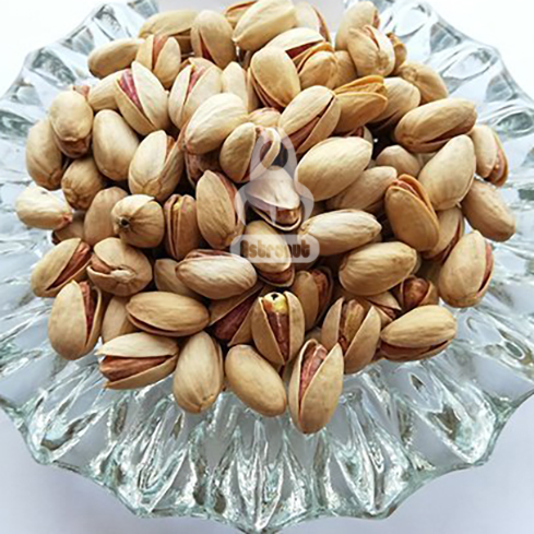 Ahmad Aghaei Pistachio Astronut