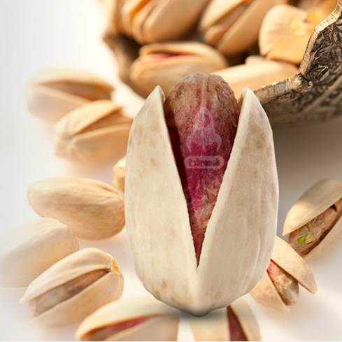 Ahmad Aghaei Pistachio Astronutfood