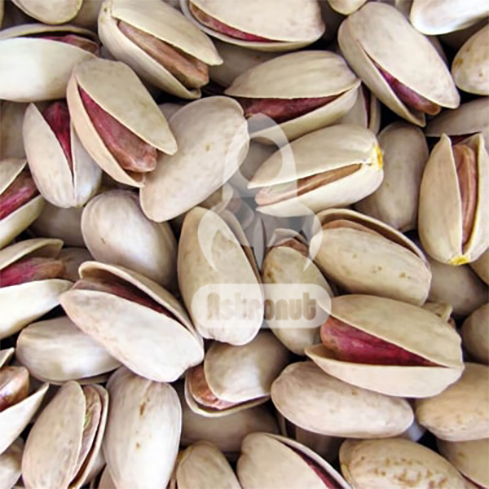 Ahmad Aghaei Pistachio Astronutfood