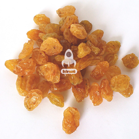 Sultana Light-Malayer- No10- Raisins Astronutfood